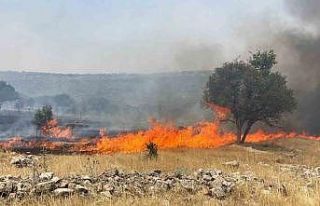 Mardin’de alevler yeniden yükseldi