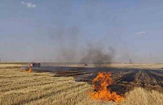 Mardin’de çıkan anız ve orman yangınları söndürüldü