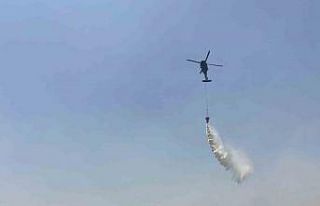 Mardin’de orman yangınına havadan ve karadan müdahale...