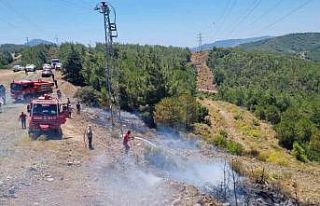 Marmaris’teki orman yangını büyümeden söndürüldü