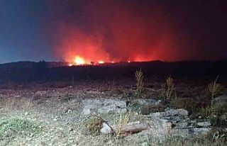 Menemen’de makilik alanda yangın