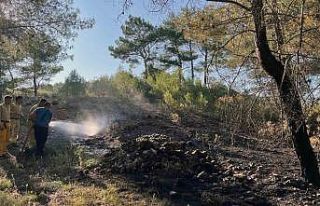 Menteşe yangını büyümeden söndürüldü
