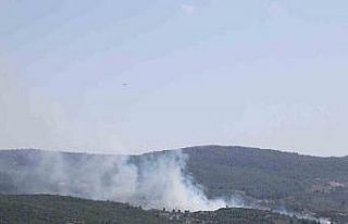 Menteşe’de çıkan yangın kontrol altına alındı