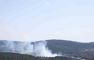 Menteşe’de orman yangını başladı