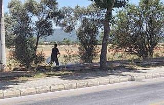 Menteşe’de yangın büyümeden söndürüldü