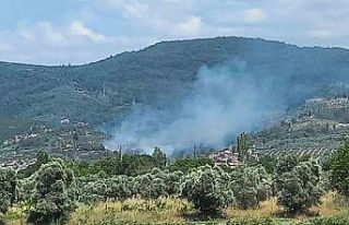Menteşe’de zeytinlik alanda yangın