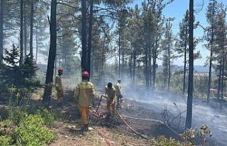Mersin Gülnar’da orman yangını söndürüldü