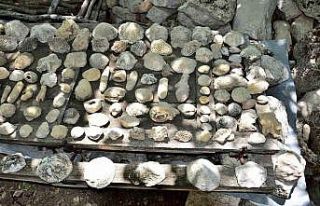 Mersin Mut’ta fosil araştırması