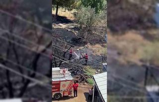 Mersin’de kayısı bahçesinde yangın