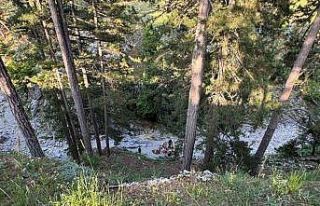 Mersin’de kekik toplarken uçurumdan yuvarlanan...