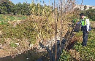 Mersin’de kirliliğe neden olan MESKİ’nin 3 tesisine...