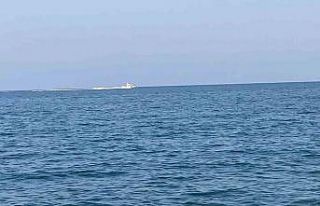 Mersin’de köpekbalığı tedirginliği