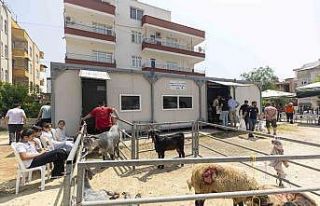 Mersin’de kurban kesimi hem hijyenik hem ücretsiz