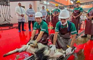 Mersin’de şehitlerin anısına kurban kesildi