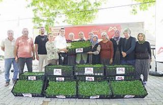 Mersin’de tarım destekleri üreticiyi sevindiriyor