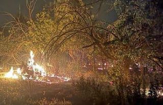 Mersin’de üç noktada çıkan yangın kontrol altına...