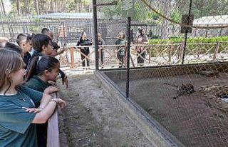 Mersin’deki ‘Minikbüs Projesi’ çocuklara gezi...