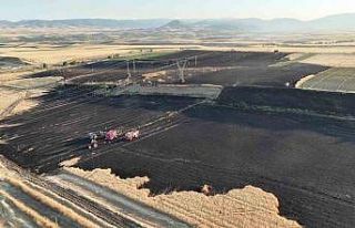 Merzifon’da 80 dönüm tarım arazisi yandı, yanan...