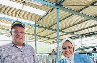 Milletvekili Sema Silkin Ün kurban pazarında yetiştiricileri...