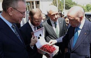 Milletvekillerinden Cumhurbaşkanı Erdoğan’a Kütahya...