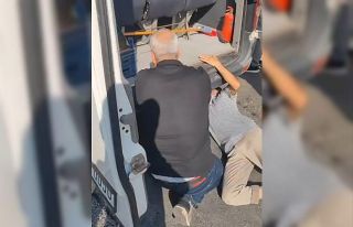 Minibüste yavru kedi kurtarma seferberliği