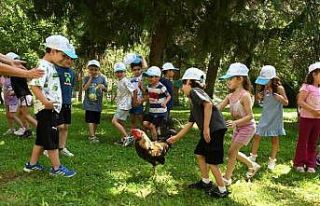 Minik eller Denizli Horozu üretimini öğrendi