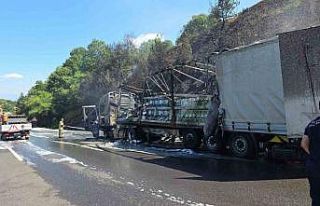 Motor yağı yüklü tır alev alev yandı, ormana...