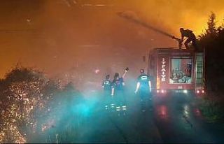 Müdür Doğan, anız yangınlarına karşı uyardı