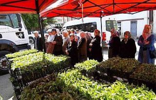 Mudurnu’da 108 bin fide dağıtıldı, çiftçiler...