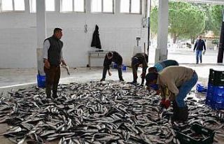 Muğla Mayıs ayında ihracatını yüzde 11 arttırdı