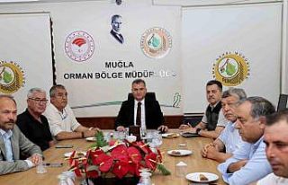 Muğla’da orman kooperatifleriyle değerlendirme...