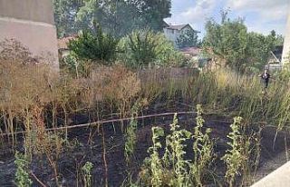 Muratlı’da boş arsada yangın paniği