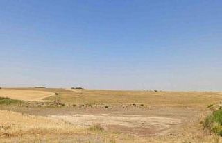 Muratlı’da göletler kuruyor