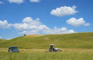 Muş’ta çiftçilerin ot biçme mesaisi başladı
