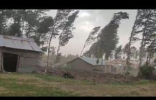 Muş’ta fırtına ağaçları ve elektrik direklerini...