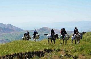 Muş’ta koyunları sağmak için at sırtında 8...