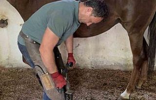 Nalbantlık yok olmasın diye direniyor