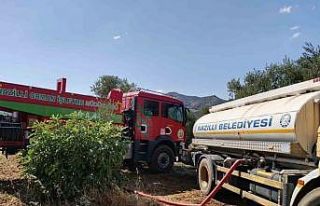 Nazilli Belediyesi’nden İsabeyli’deki yangının...