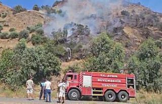 Nazilli’de tarım arazisinde yangın çıktı