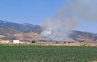 Nazilli’de zirai alan yangını