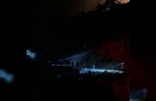 Nazilli’deki orman yangını kontrol altına alındı