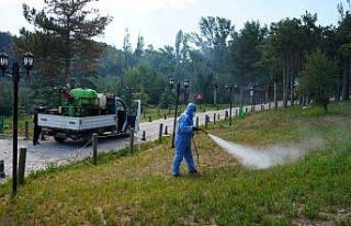 Niğde Belediyesi kene ve haşereyle mücadeleyi yoğunlaştırıyor