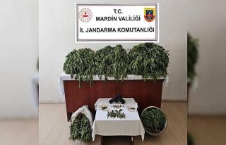 Nusaybin’de uyuşturucu operasyonu: 4 gözaltı