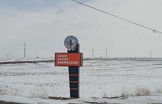 O ilçede ikinci kene vakası