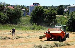 OBB’nin tarım makineleri, Ordu tarımına değer...