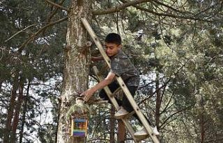 Öğrenciler atık su bidonlarından kuş yuvası...