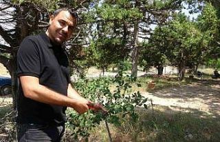 Ölmeden ölüm ilanı verildi, duyunca şok oldu