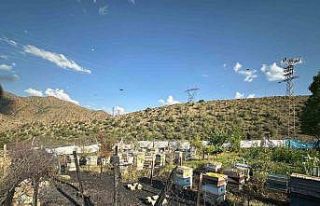 Oltu’da yangın faciası: 30 arı kovanı telef...