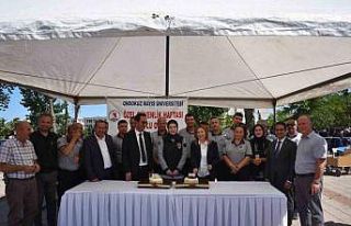 OMÜ’de Özel Güvenlik Haftası kutlandı