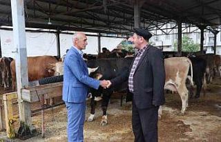 Ordu Büyükşehir, Kurban Bayramı hazırlıklarını...